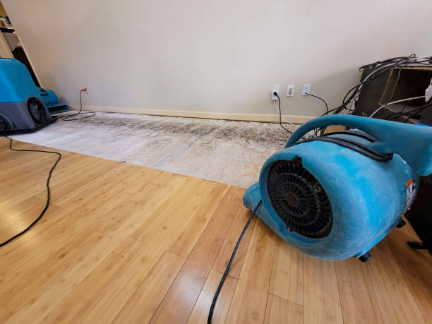 Professional Flood Damage Cleanup technician working in Rogersville, AL